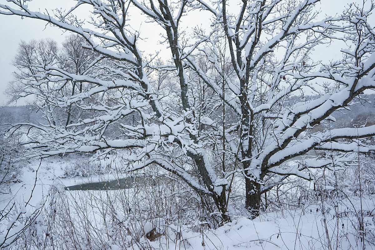На берегу Протвы - Сергей Курников На берегу Протвы - Сергей Курников