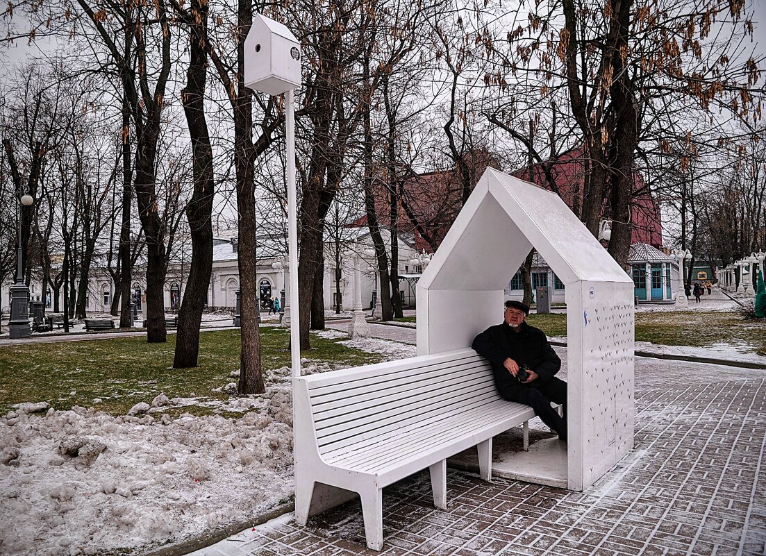 Вот и первый грач в новом году,,,) - Анатолий Колосов