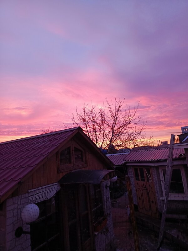 С новым добрым утром! - Татьяна Пальчикова С новым добрым утром! - Татьяна Пальчикова