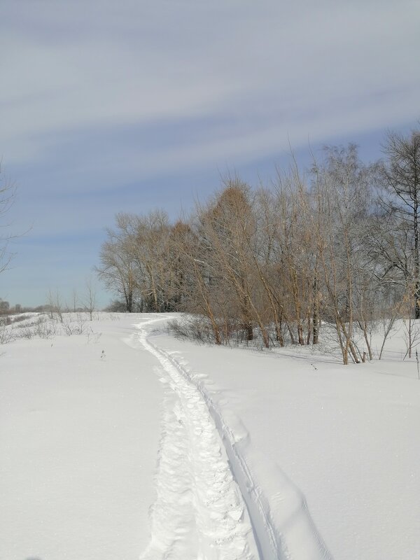 *** - Зоя Мишина