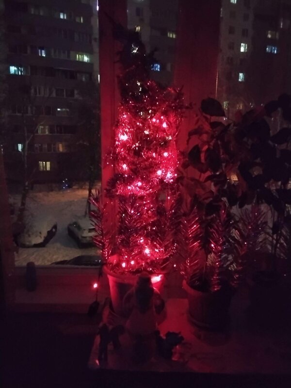 Свет ёлки новогодней - Дмитрий Никитин