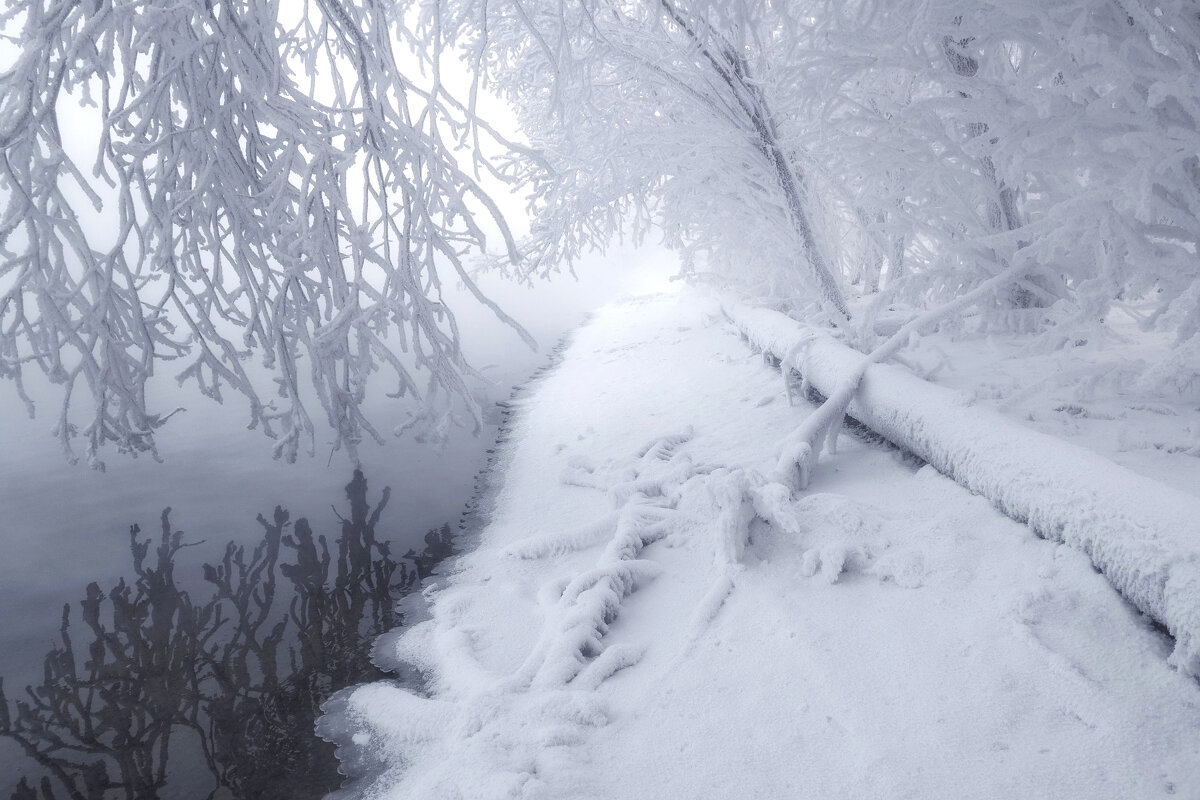 В морозном тумане - Марина Фомина. В морозном тумане - Марина Фомина.