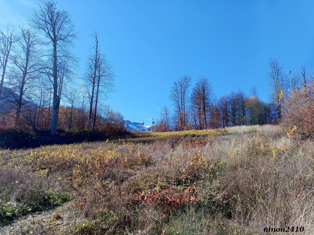 Адлер... горы... Роза Хутор... - Нина Бутко