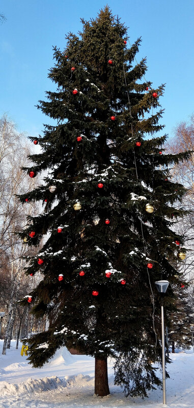 С Новым годом!!! - Радмир Арсеньев С Новым годом!!! - Радмир Арсеньев