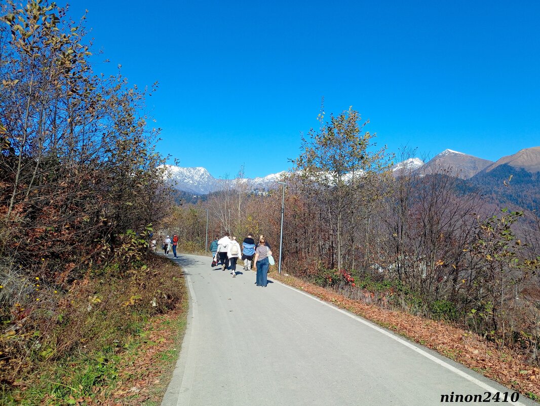 Адлер... горы... Роза Хутор... - Нина Бутко