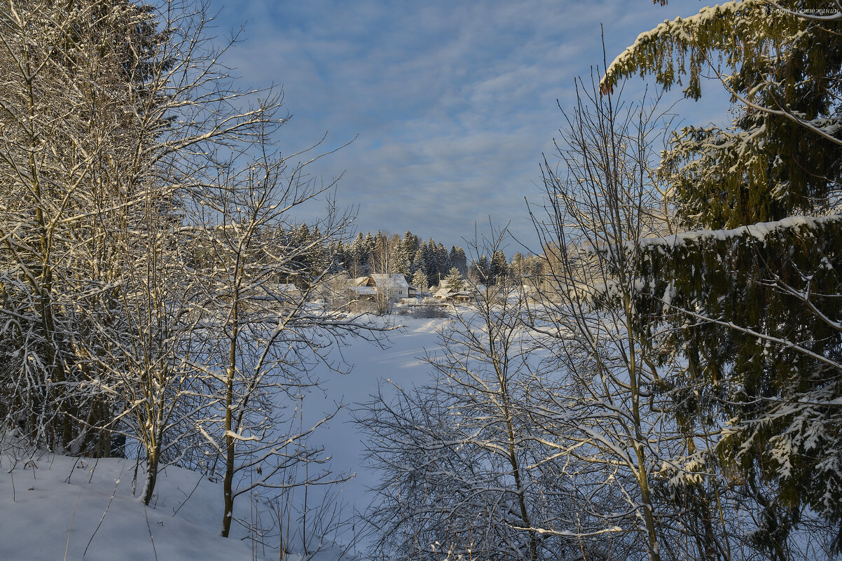 Владимировка 1 января 2026 - Борис Устюжанин