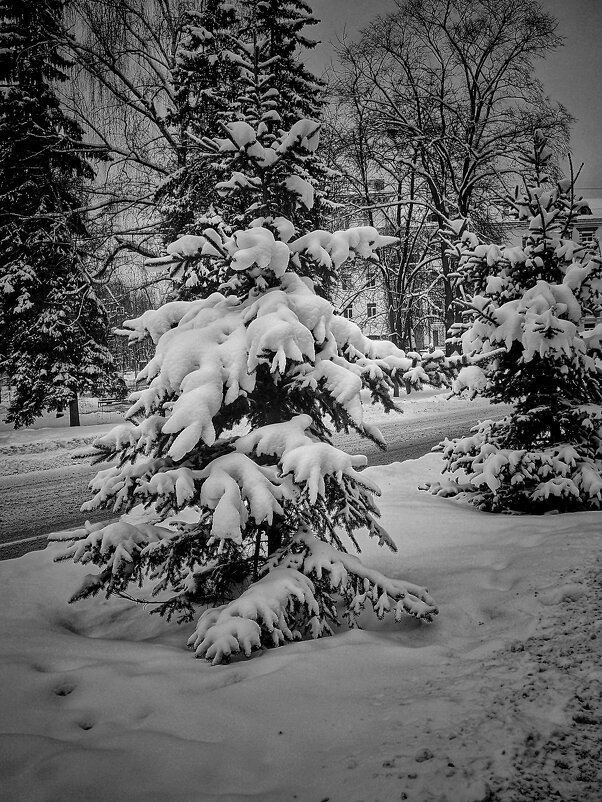 ***** - Алексей Архипов
