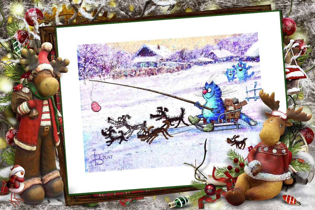 Pro ездовой спорт - Alisia La DEMA