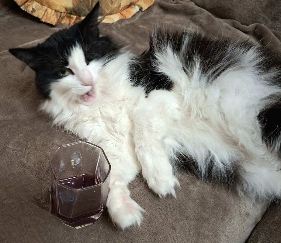 Третий день января - ИРЭН@ .