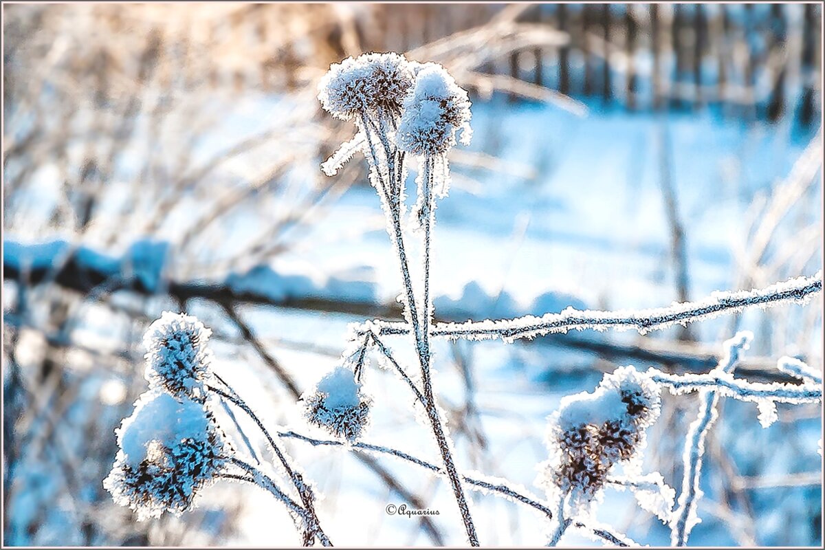 Морозец... - Aquarius - Сергей