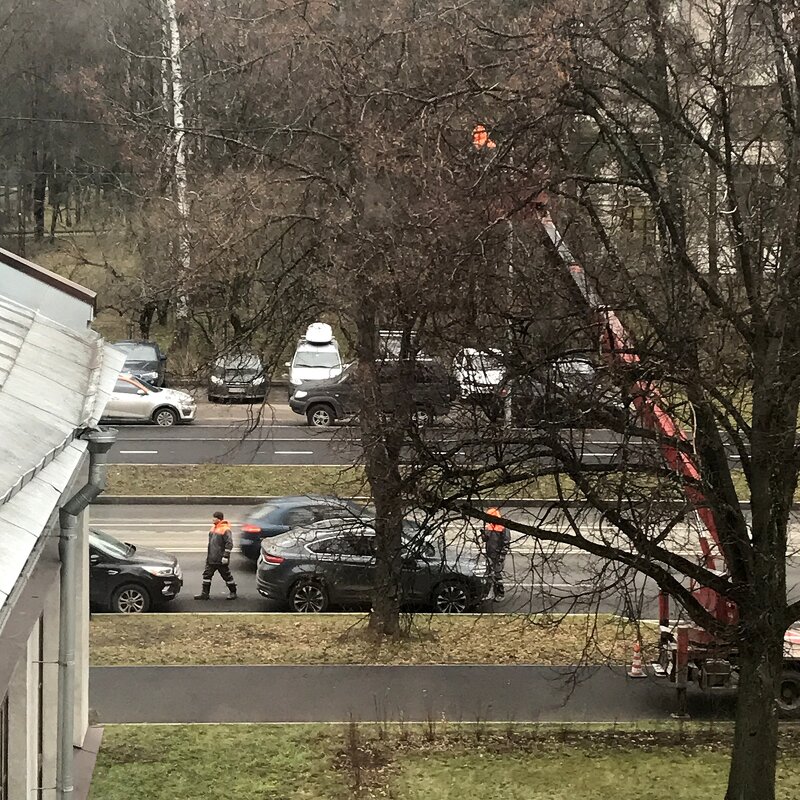 такая работа - zavitok *