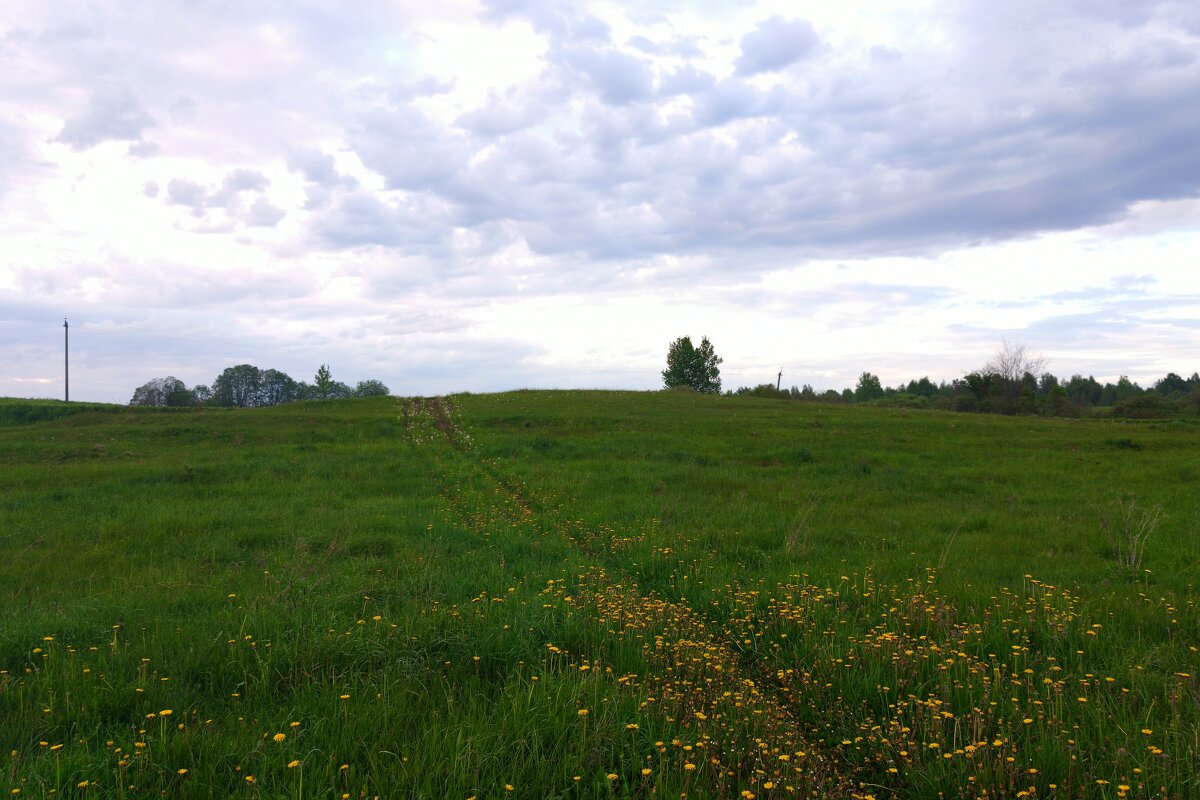 Между Скново и Староселком - Артем 
