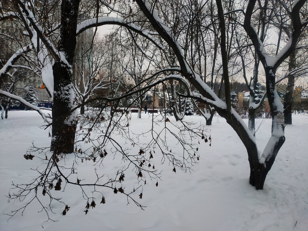 Зима в Москве - Андрей Лукьянов