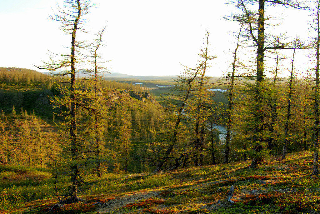 Восточный склон полярного Урала. Ямал. - Tata Wolf