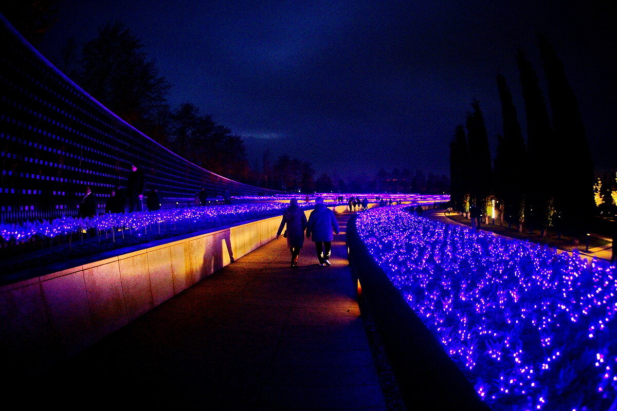 Ночь...Парк Галицкого... - Николай Саржанов Ночь...Парк Галицкого... - Николай Саржанов