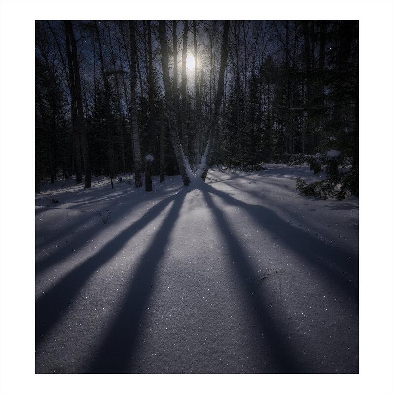 Зимняя лунная ночь - Александр Иванов