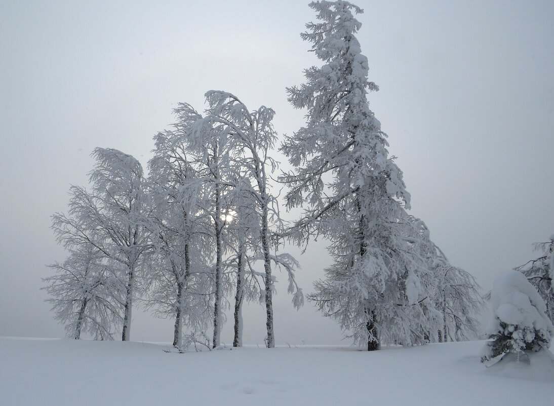 Белогорье - Лариса С.
