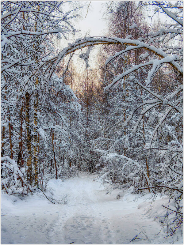 Зимняя сказка - Максим Сорокин