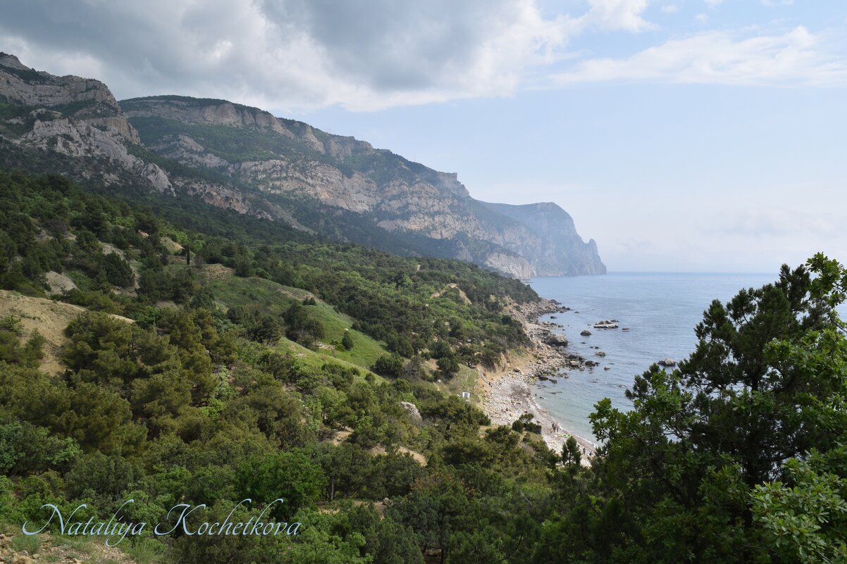 Природа Крыма - Amazing Cosmea