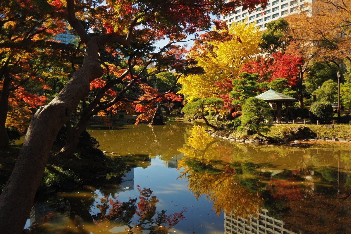 Огненная палитра - Civetta *** Огненная палитра - Civetta ***