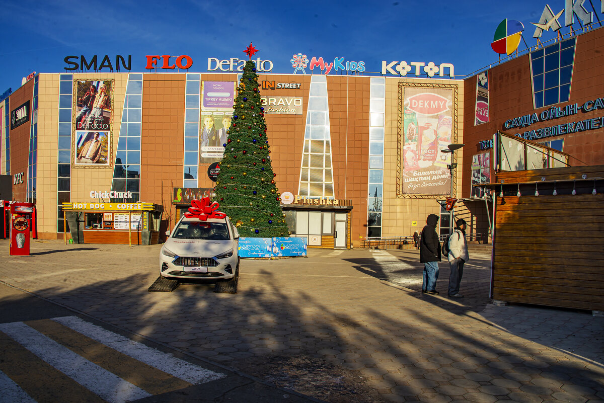 Ёлка - Анатолий Чикчирный