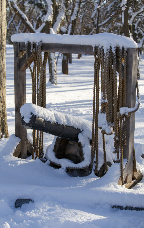 Один день зимы... - Светлана Тихонина