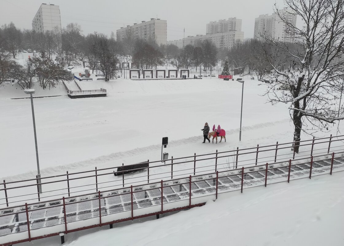 Дежурные по празднику - Игорь Ч.