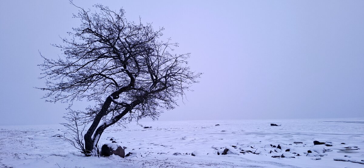 Когда черно-белое не черно-белое - Хватова Марина 