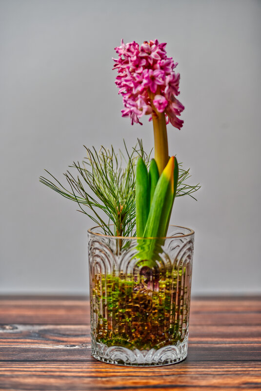 (°-°) - Jakob Dick (°-°) - Jakob Dick