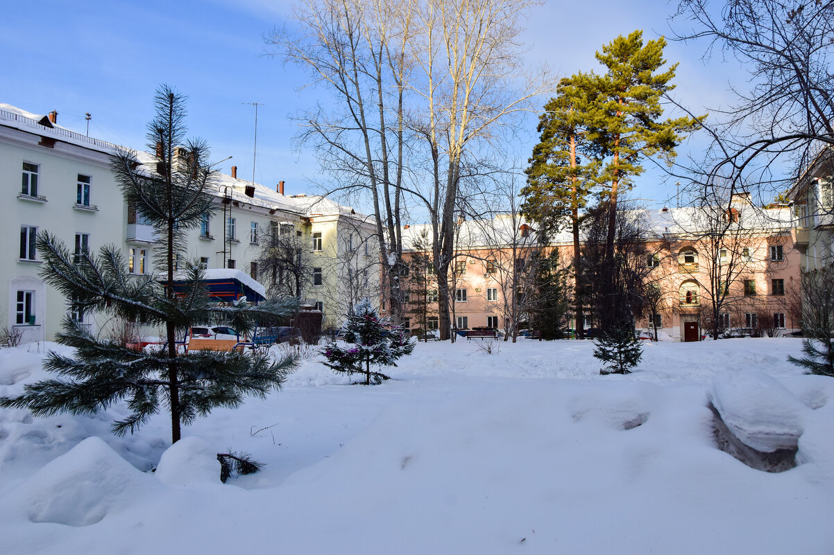 Дворы детства - Владимир Звягин