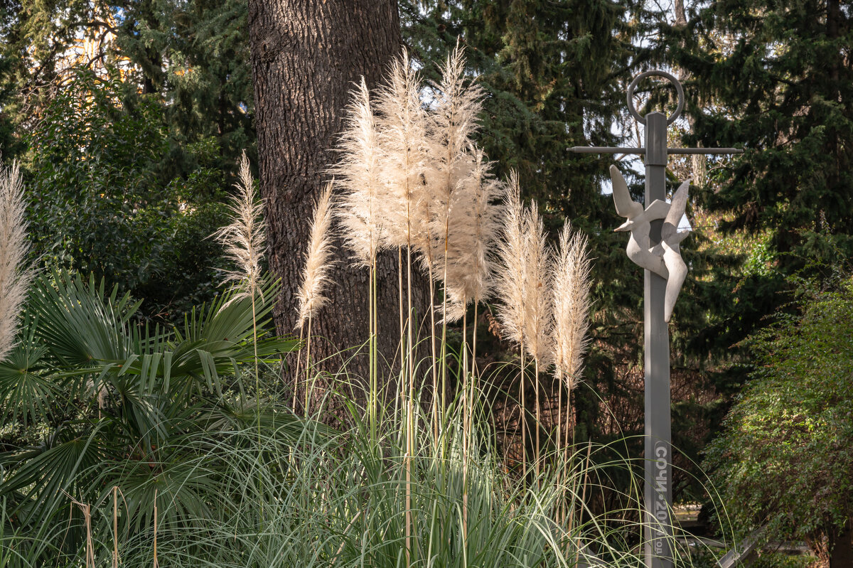 ... - Сергей Яковлев