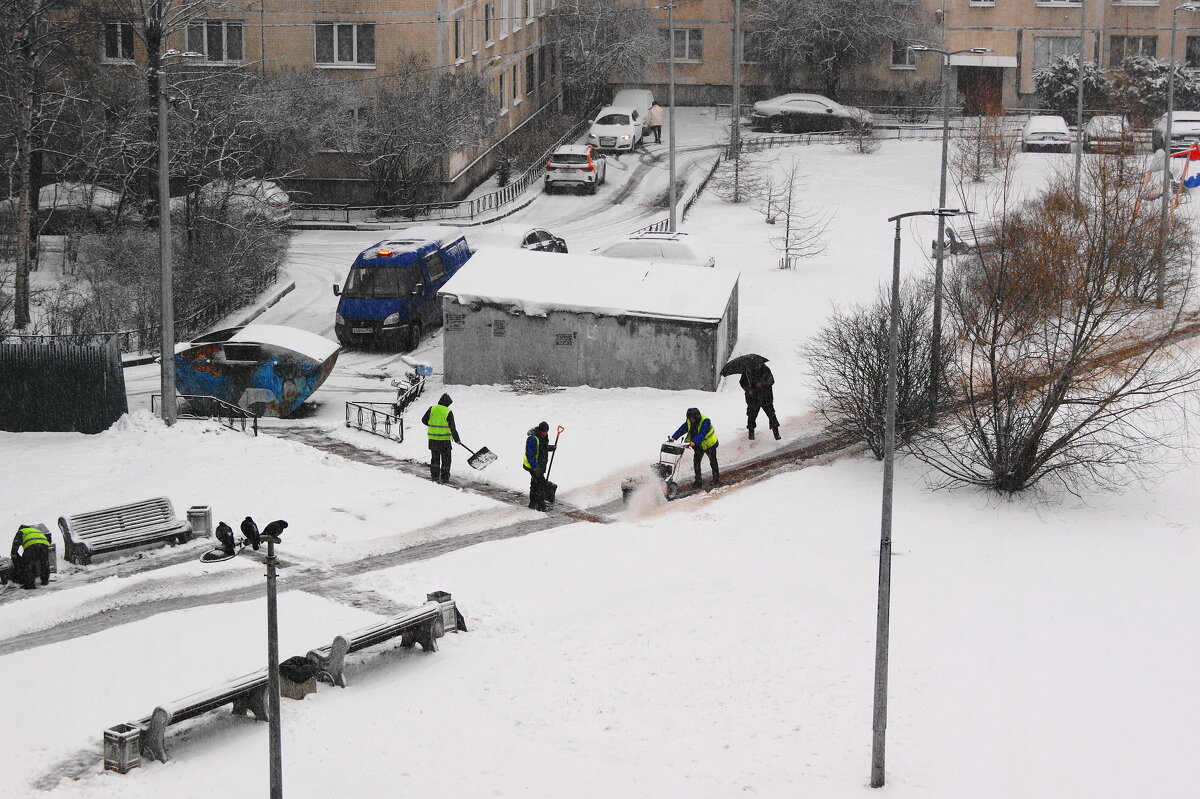АВРАЛ - Виктор Никитенко