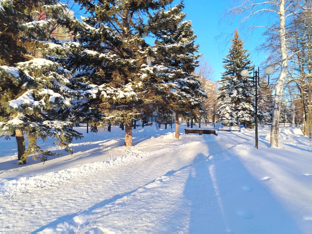 Зимний солнечный день 31 декабря 2025 глда - Надежда 