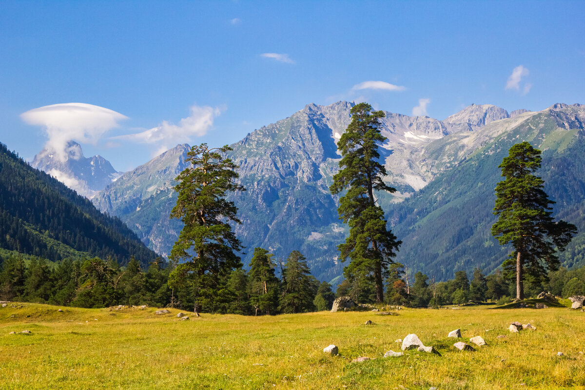 Три сестры - Алексей Три сестры - Алексей