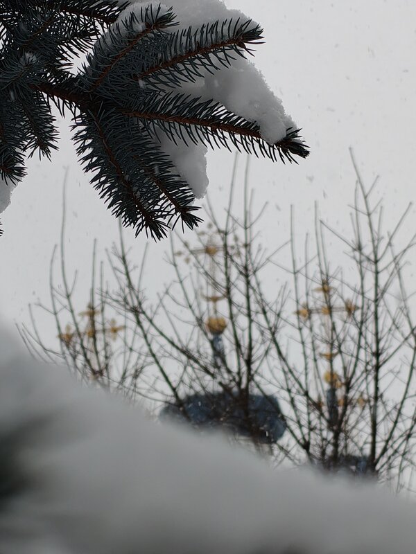 ❄️❄️❄️ - Андрей 