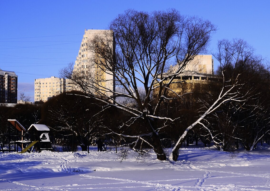 Зимний парк. - Василий Палий Зимний парк. - Василий Палий