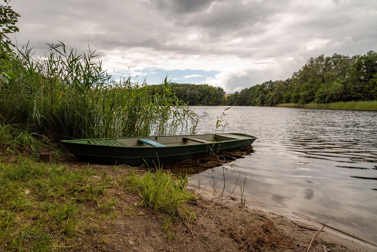 В июле... - Николай Гирш