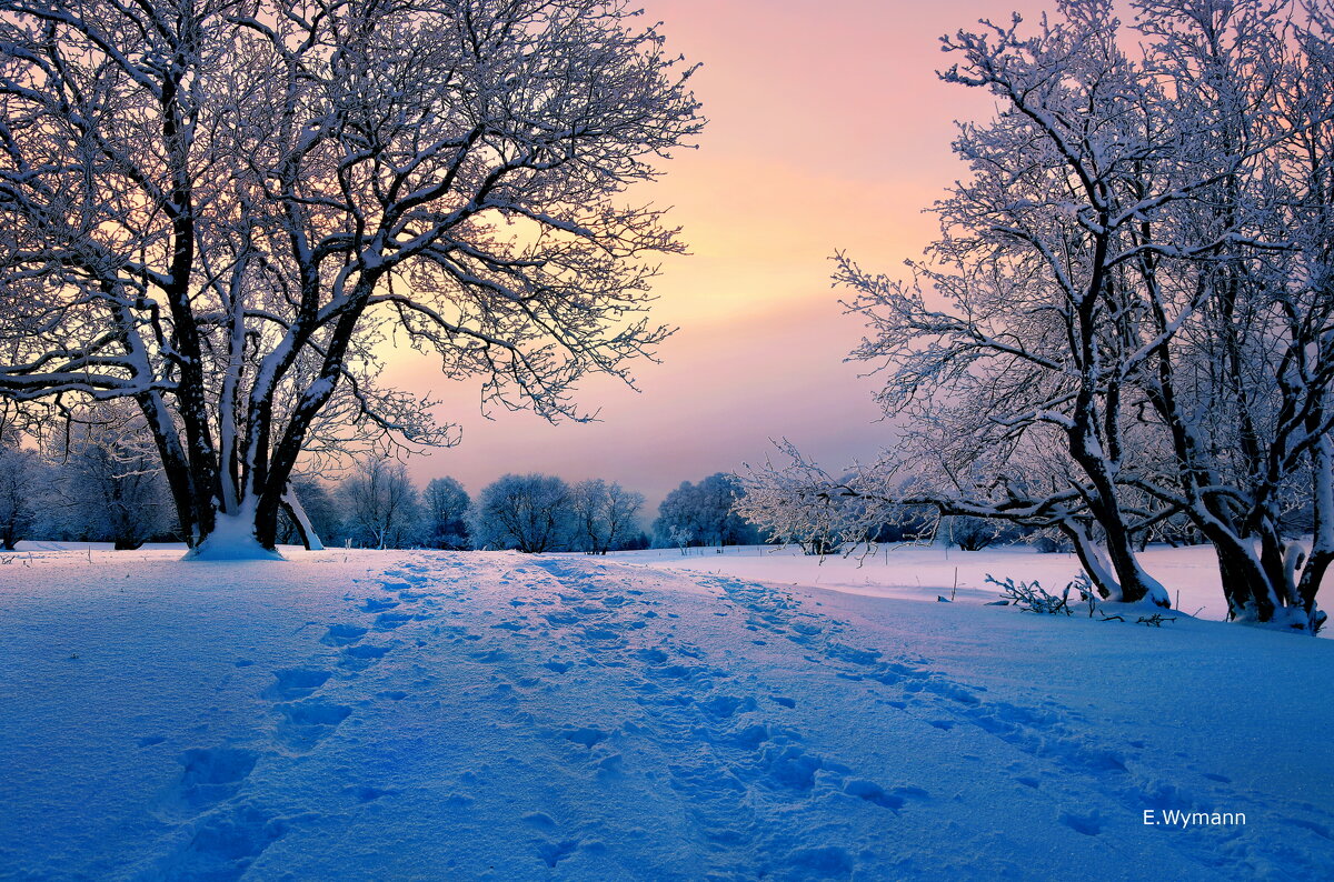 winter sunrise - Elena Wymann winter sunrise - Elena Wymann