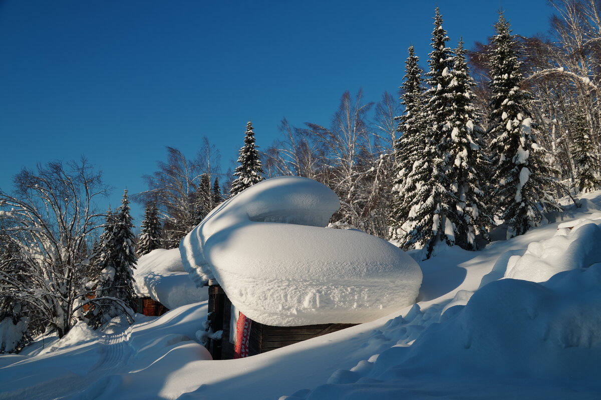 Пирожное - Павел Трунцев