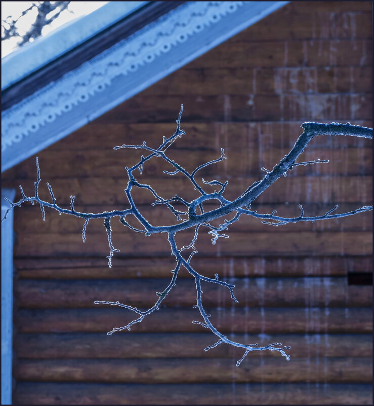 Зимняя арабеска - Наталья Rosenwasser