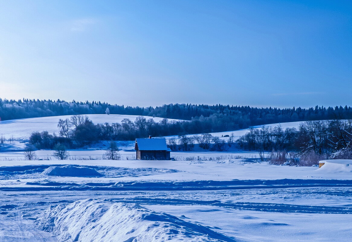 Морозный день - Наталья Rosenwasser