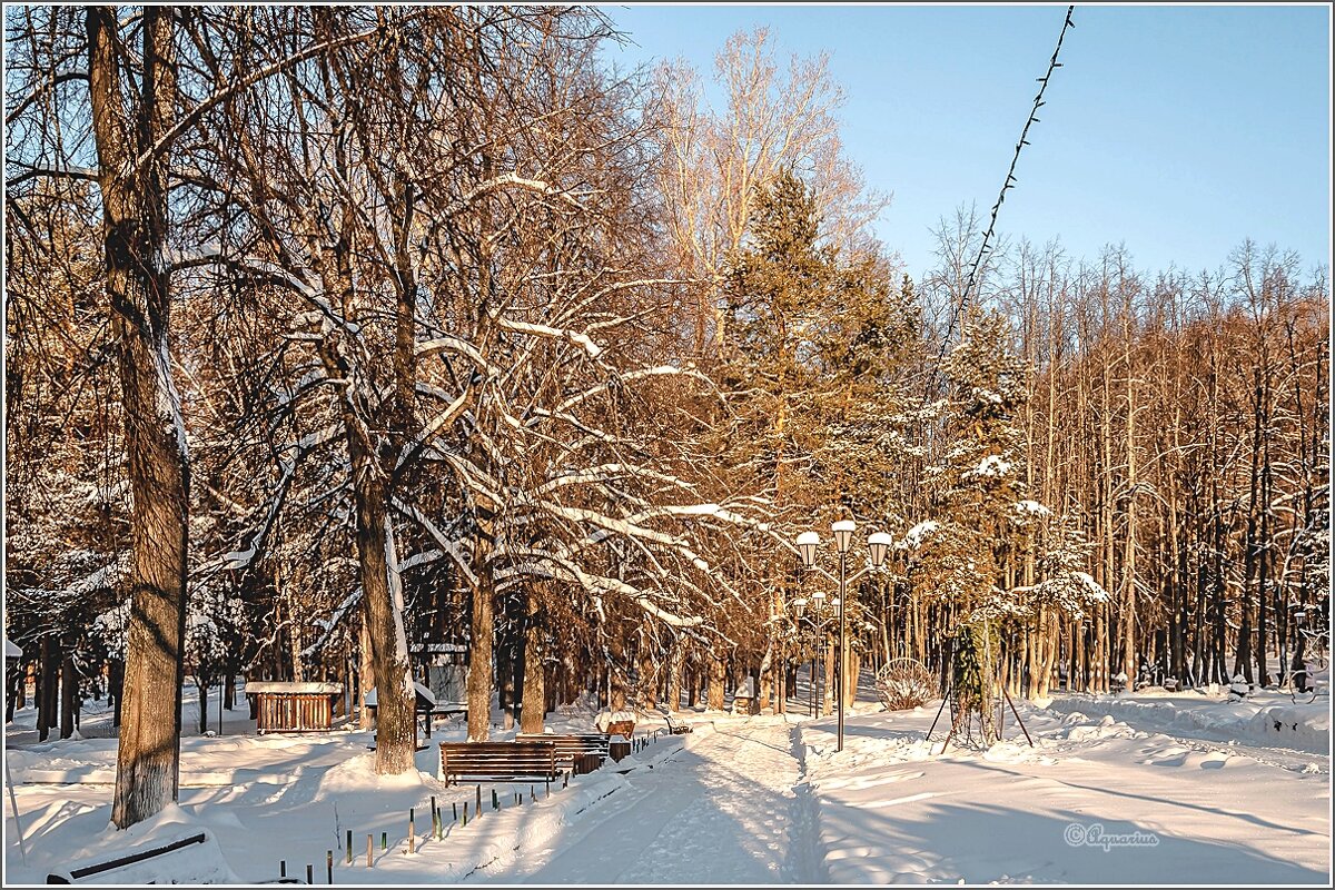 Мороз и солнце... - Aquarius - Сергей