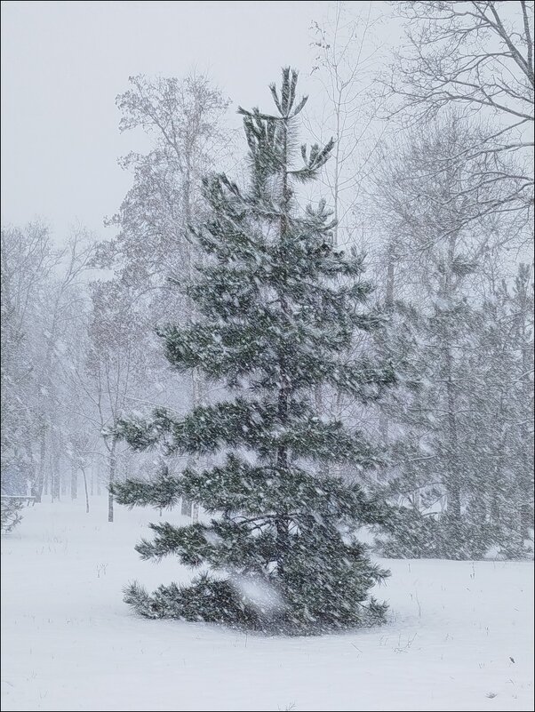 Первый снег! - Надежда 