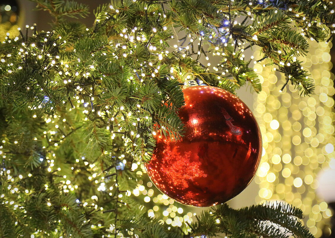 Шарик на ёлочке. - Оля Богданович