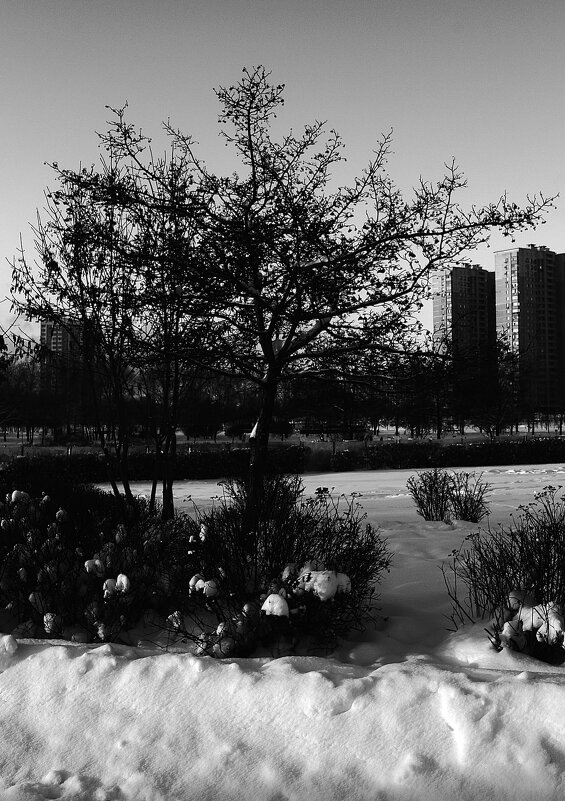 --- - Василий Палий