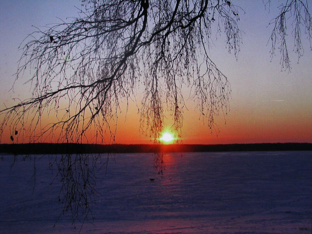 Красивый вечер - Людмила Смородинская