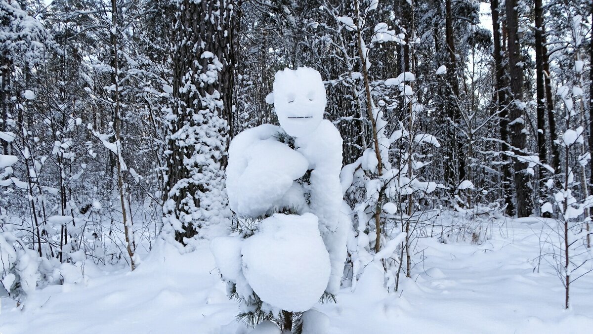 Причуды природы. - Милешкин Владимир Алексеевич 