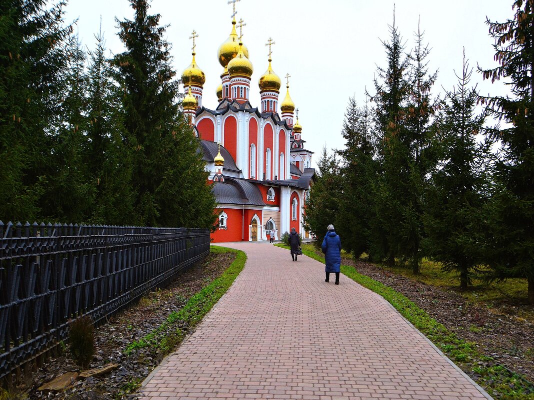 Чебоксары. Ели на аллее подворья церкви Новомучеников в начале зимы. - Пётр Чернега