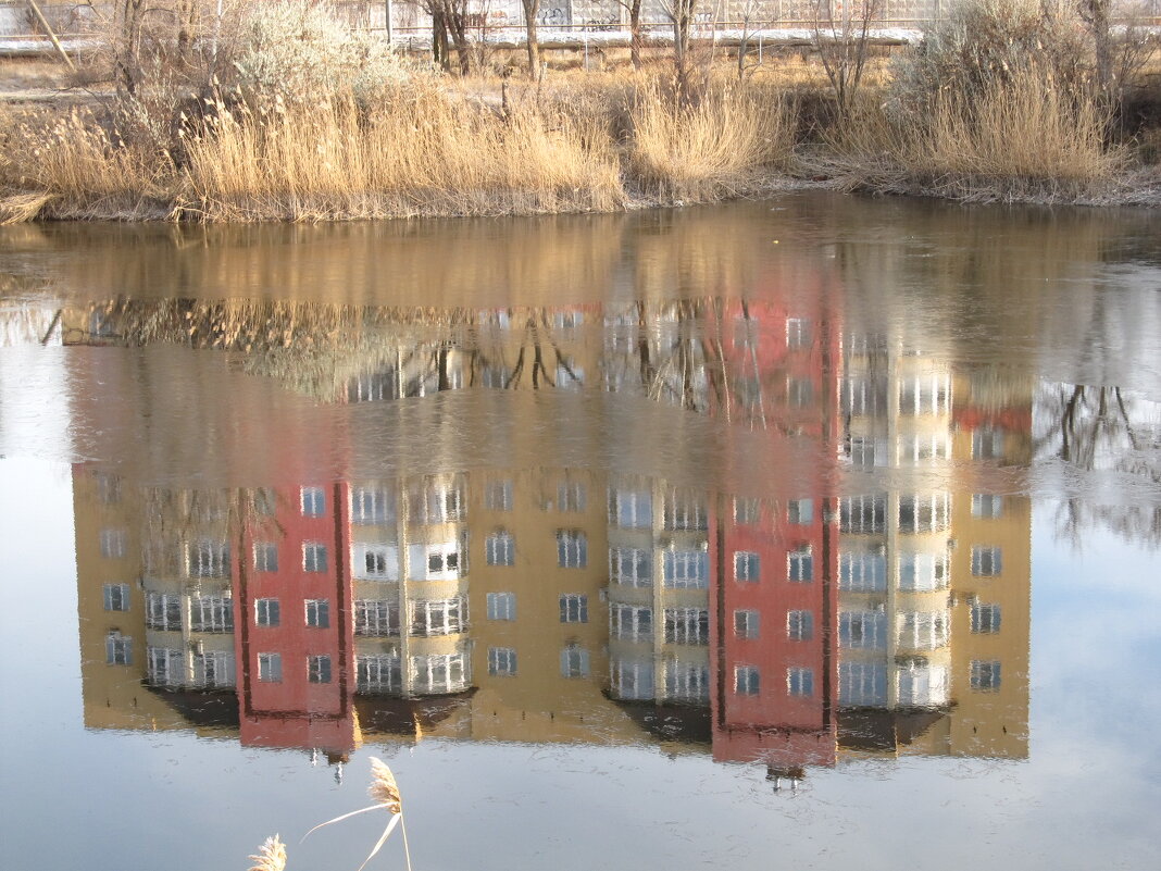 отражение - Елена Шаламова