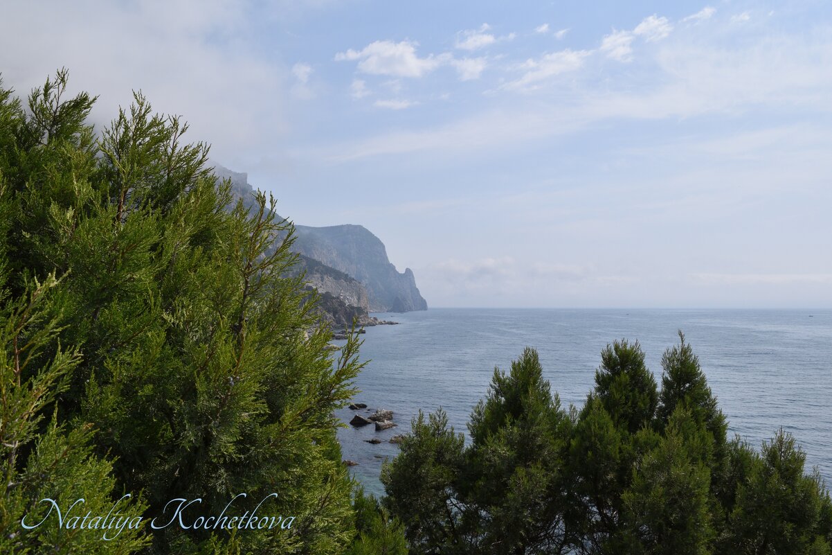 Природа Крыма - Amazing Cosmea